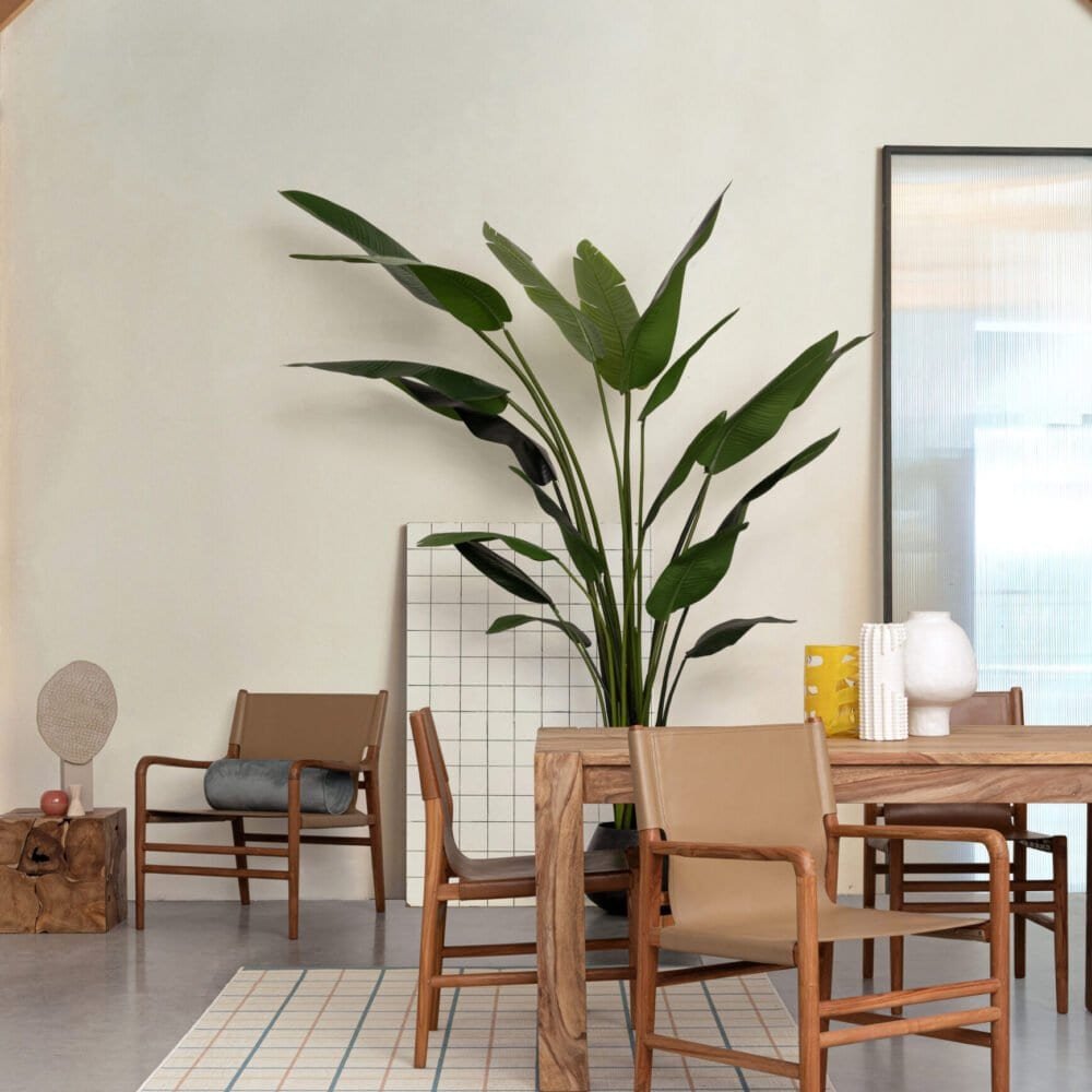 Pianta verde di grandi dimensioni con mobili in legno in ambiente interno luminoso. Stile naturale e decorativo.