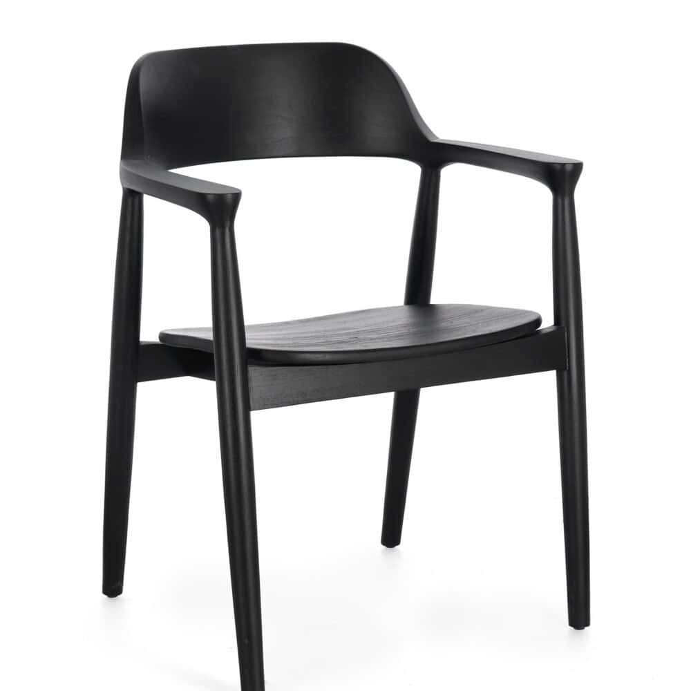 Sedia elegante in legno e plastica nera, perfetta per arredi moderni e di design.