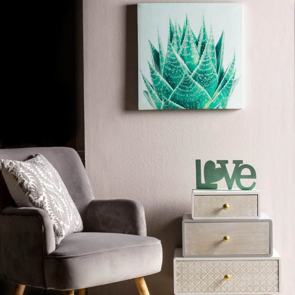 Quadro di succulenta su parete di casa moderna.