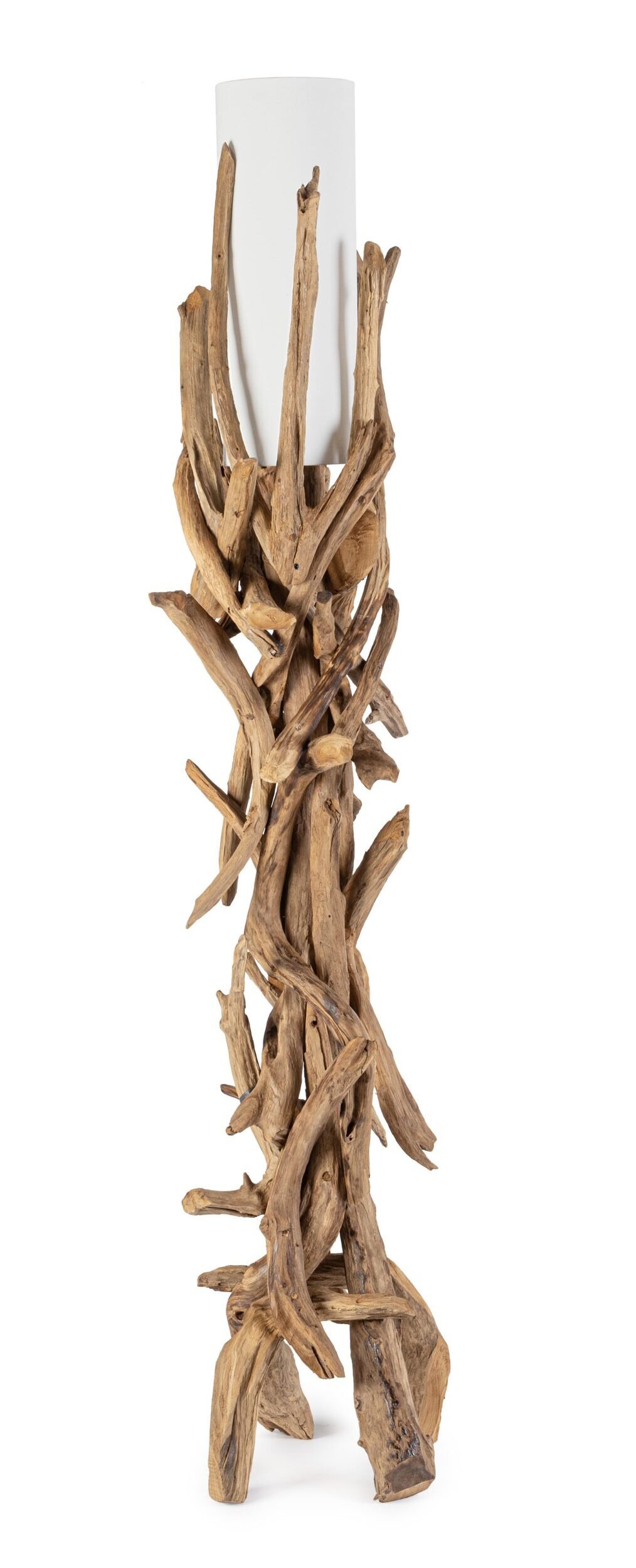 PIANTANA ACE BIANCO H180