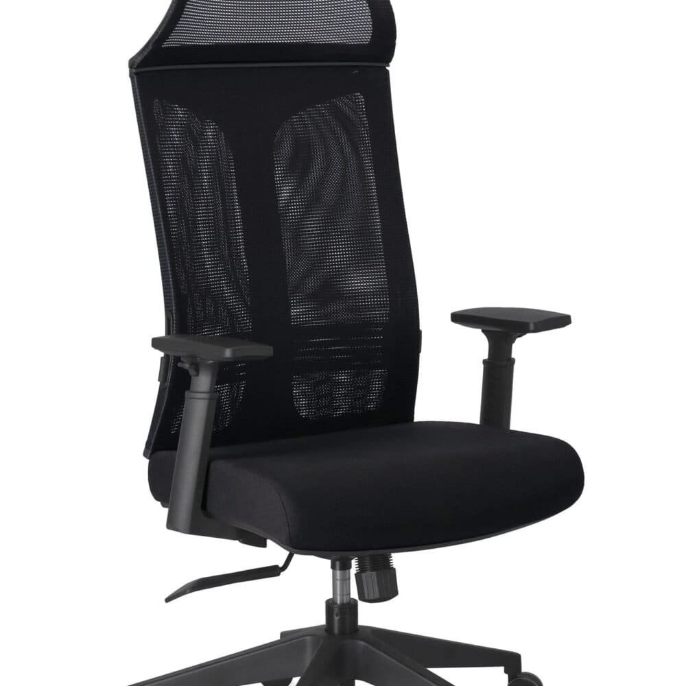 Sedia da ufficio ergonomica con schienale in rete e supporto regolabile.