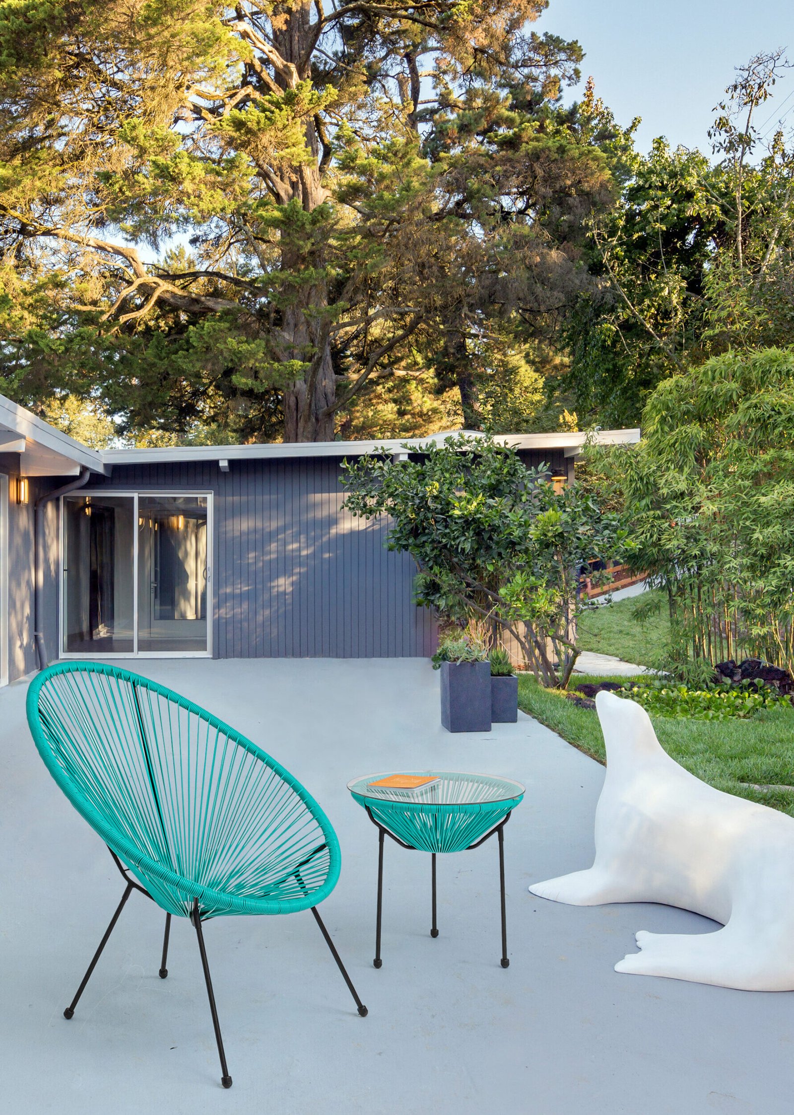 0802943am91 Jollygiunco